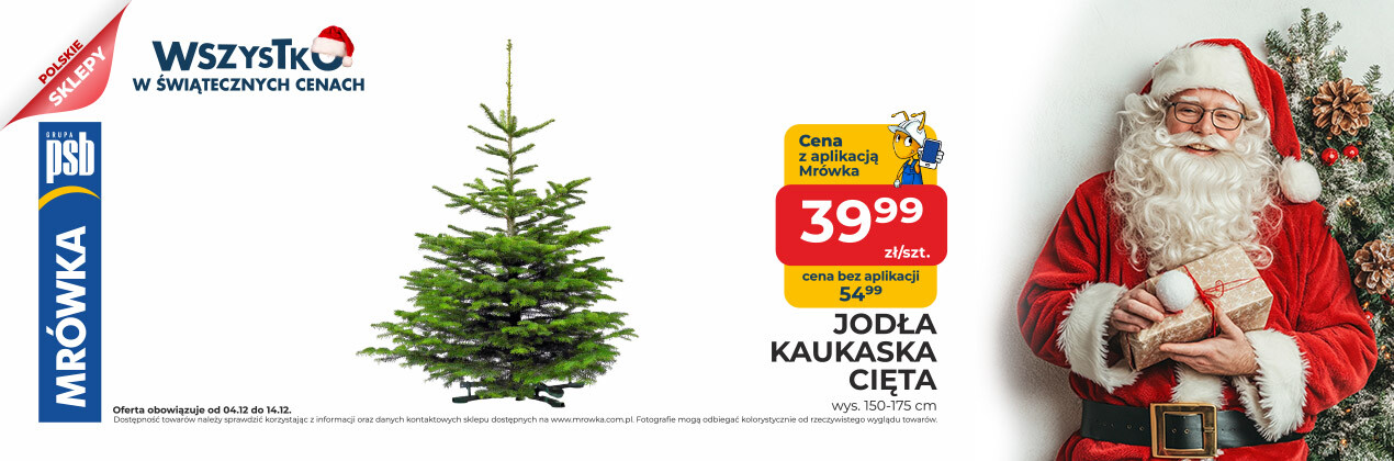 zdjęcie na stronie głównej